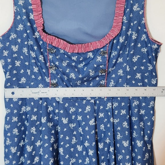 Scarlet Darkness Blue Dress with Pink Ruffle Trim Size L