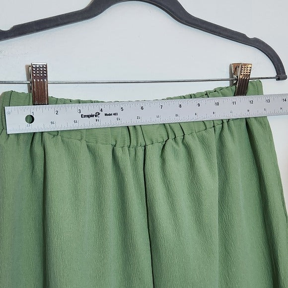 Cider Pull-on Green Wide Leg Pants Size Medium