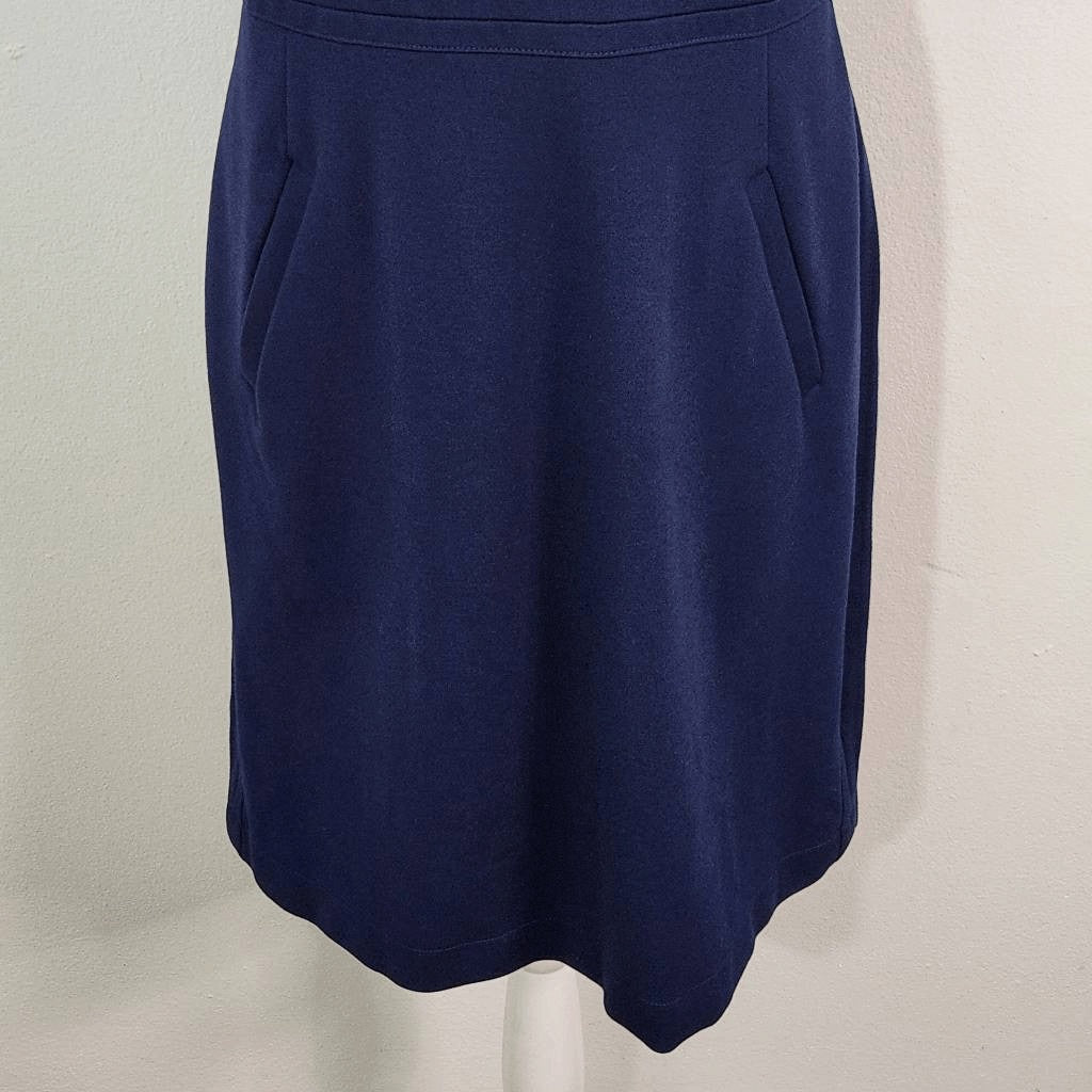Lands' End Blue Sheath Dress Size 10 Petite Classic Sleeveless Blue Dress