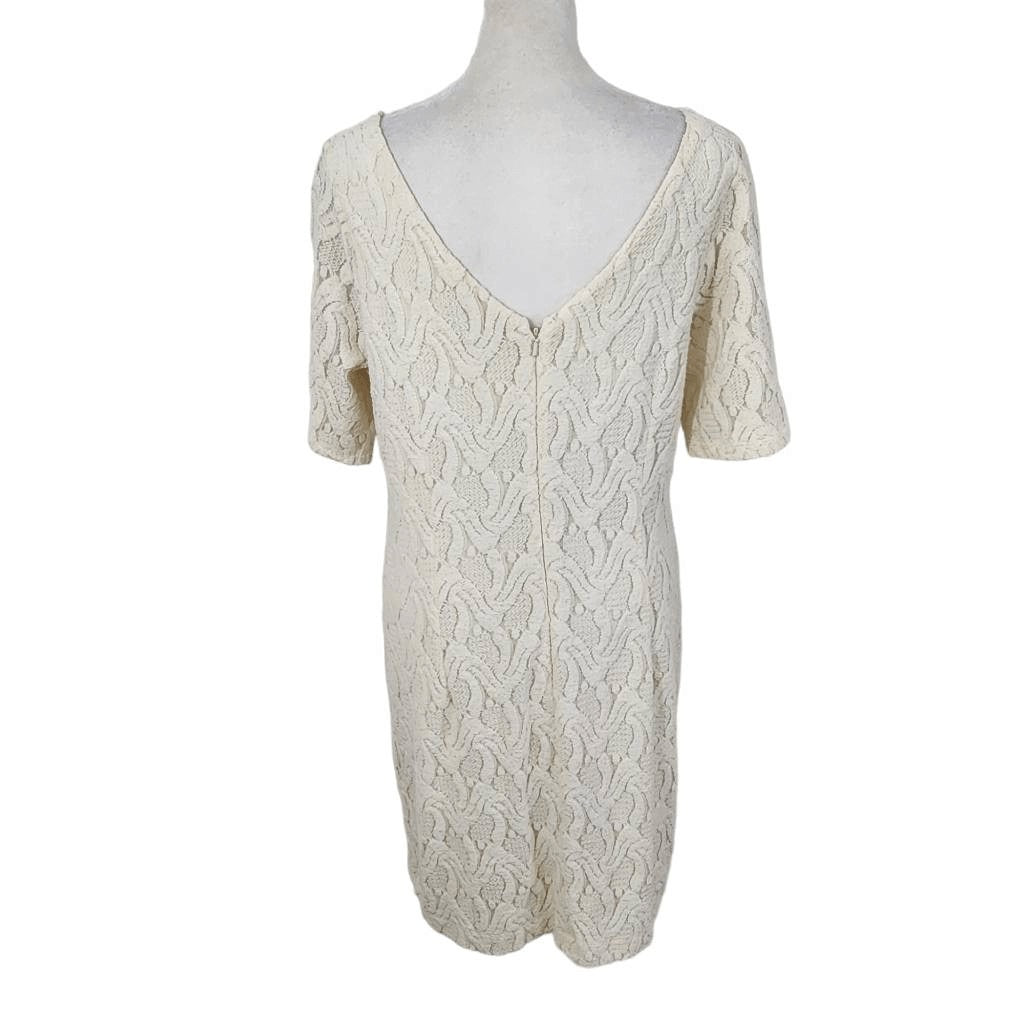 Ann Taylor Cream Embroidered Lace Dress NWT Size 10 Petite Cream Cocktail Dress