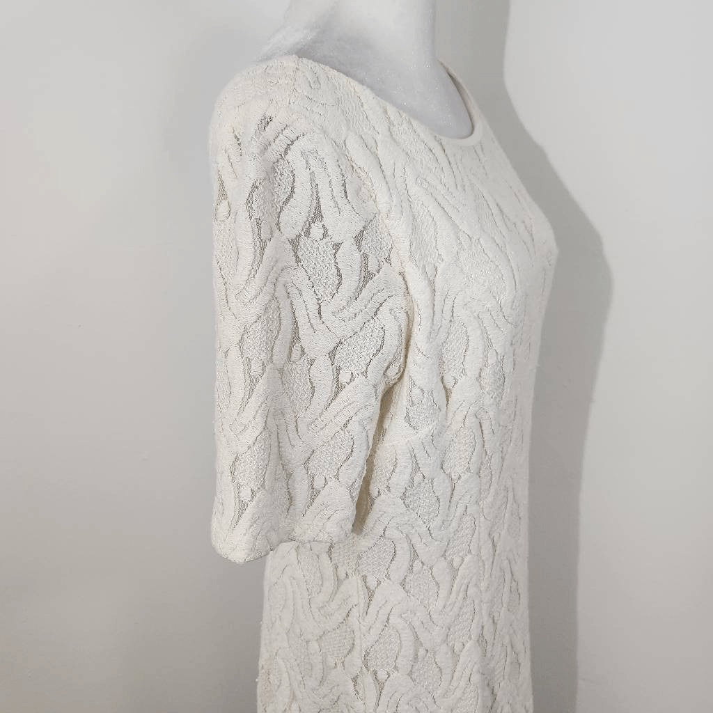 Ann Taylor Cream Embroidered Lace Dress NWT Size 10 Petite Cream Cocktail Dress