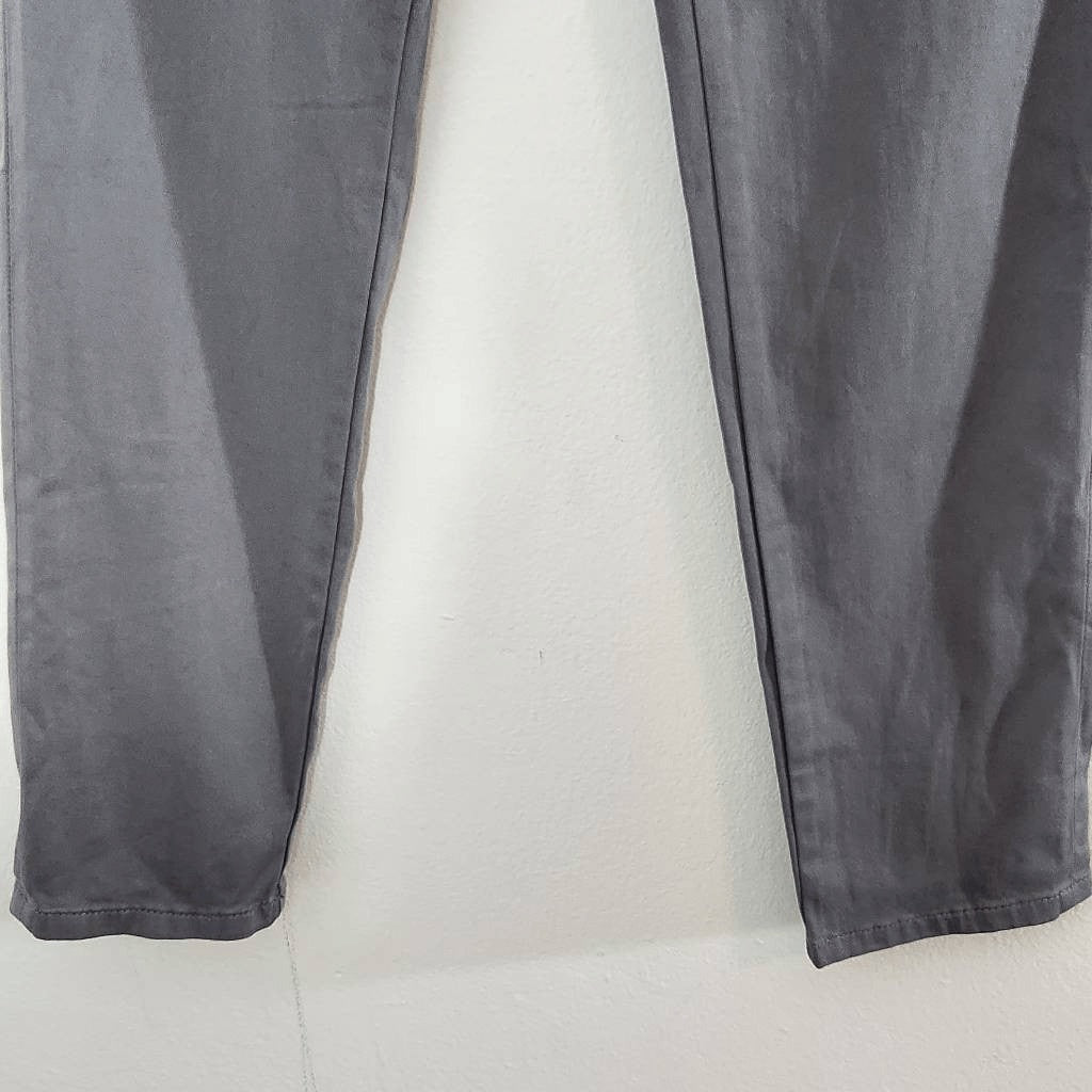 Lila Ryan Gray Cropped Skinny Pants Size 0 Gray Fitted Ankle Pants