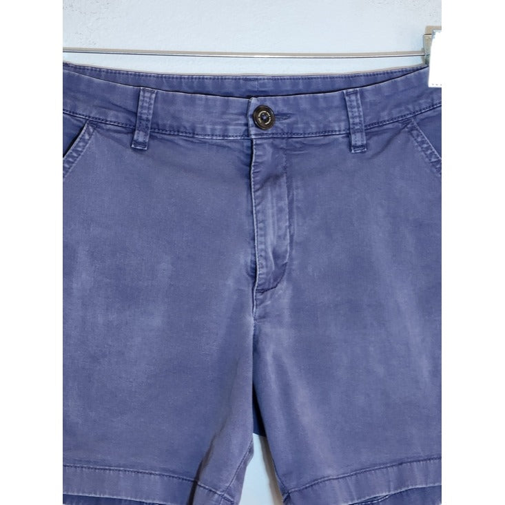 Chubbies Blue Chino Shorts Size 30
