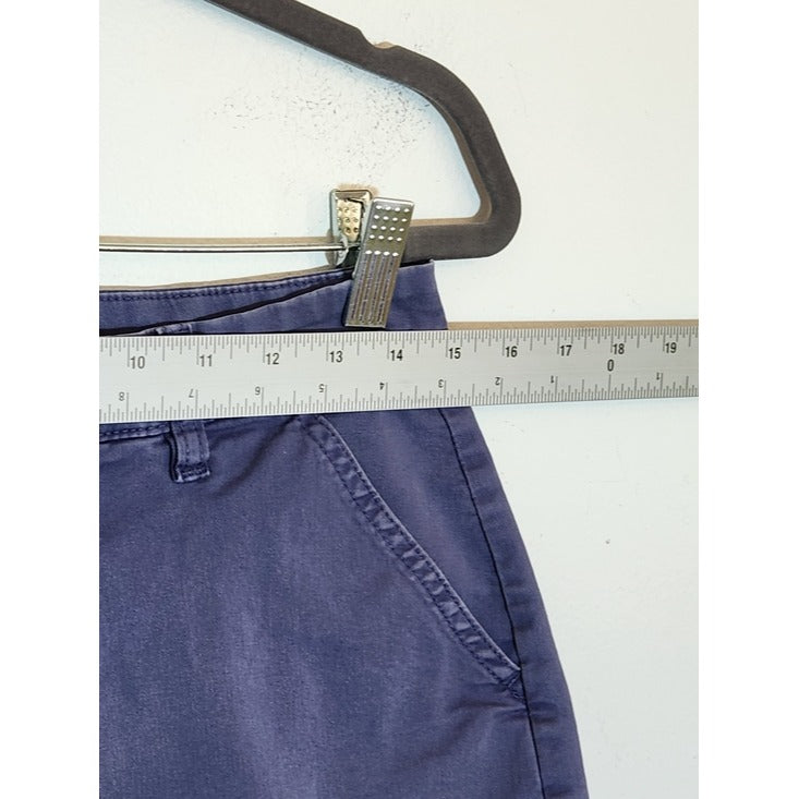 Chubbies Blue Chino Shorts Size 30