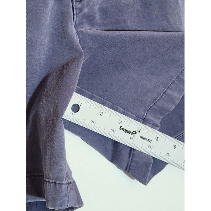 Chubbies Blue Chino Shorts Size 30