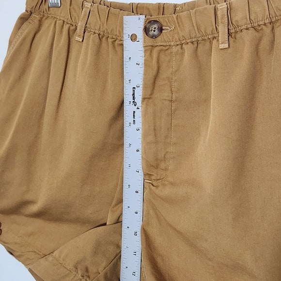 Chubbies Khaki 4.5 Inseam Cotton Shorts Size XL