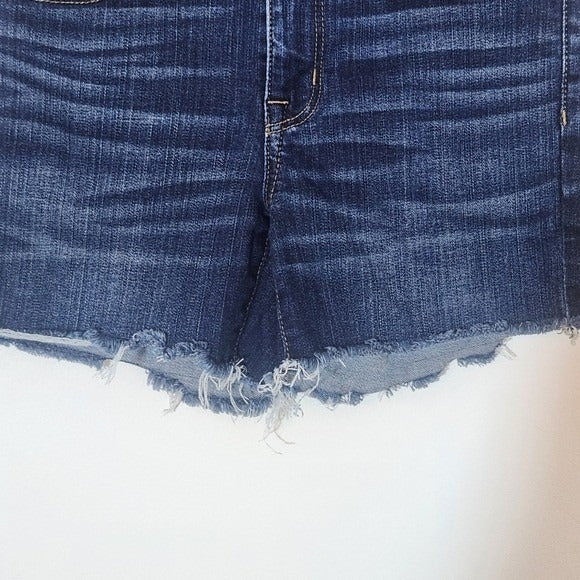 American Eagle Outfitters Women's Dark Wash Denim Shorts Size 2 Cut-off Shorts