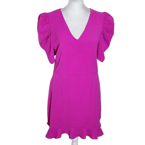 TCEC Fuchsia Pink Mini Dress with Ruffle Hem Size Large Wedding Guest Dress