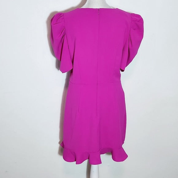 TCEC Fuchsia Pink Mini Dress with Ruffle Hem Size Large Wedding Guest Dress