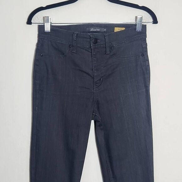 Level 99 Charcoal Gray Tanya High-Rise Skinny Jeans Size 27