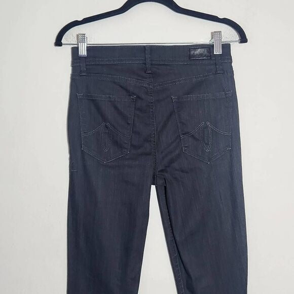 Level 99 Charcoal Gray Tanya High-Rise Skinny Jeans Size 27