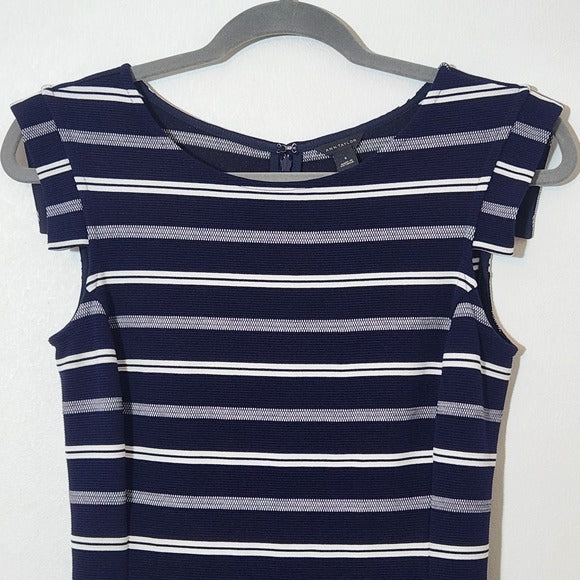 Ann Taylor Navy and White Striped Sheath Dress Size 0 Navy Stripe Dress