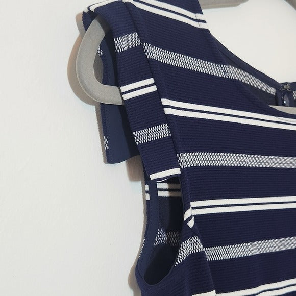 Ann Taylor Navy and White Striped Sheath Dress Size 0 Navy Stripe Dress