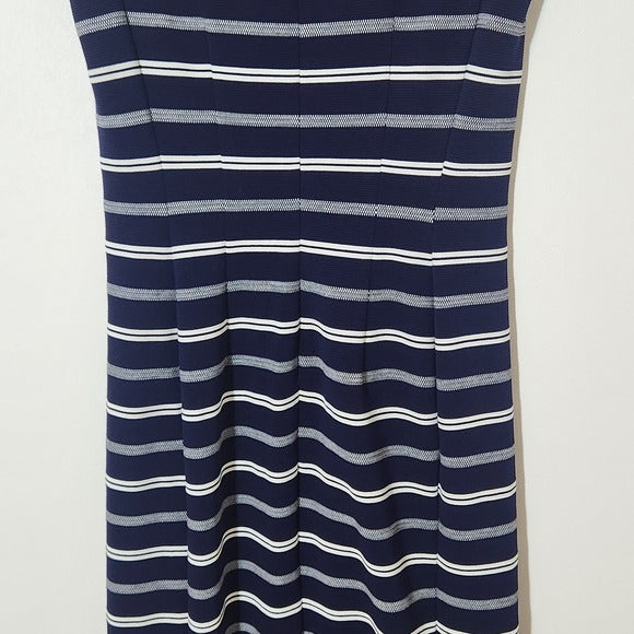 Ann Taylor Navy and White Striped Sheath Dress Size 0 Navy Stripe Dress