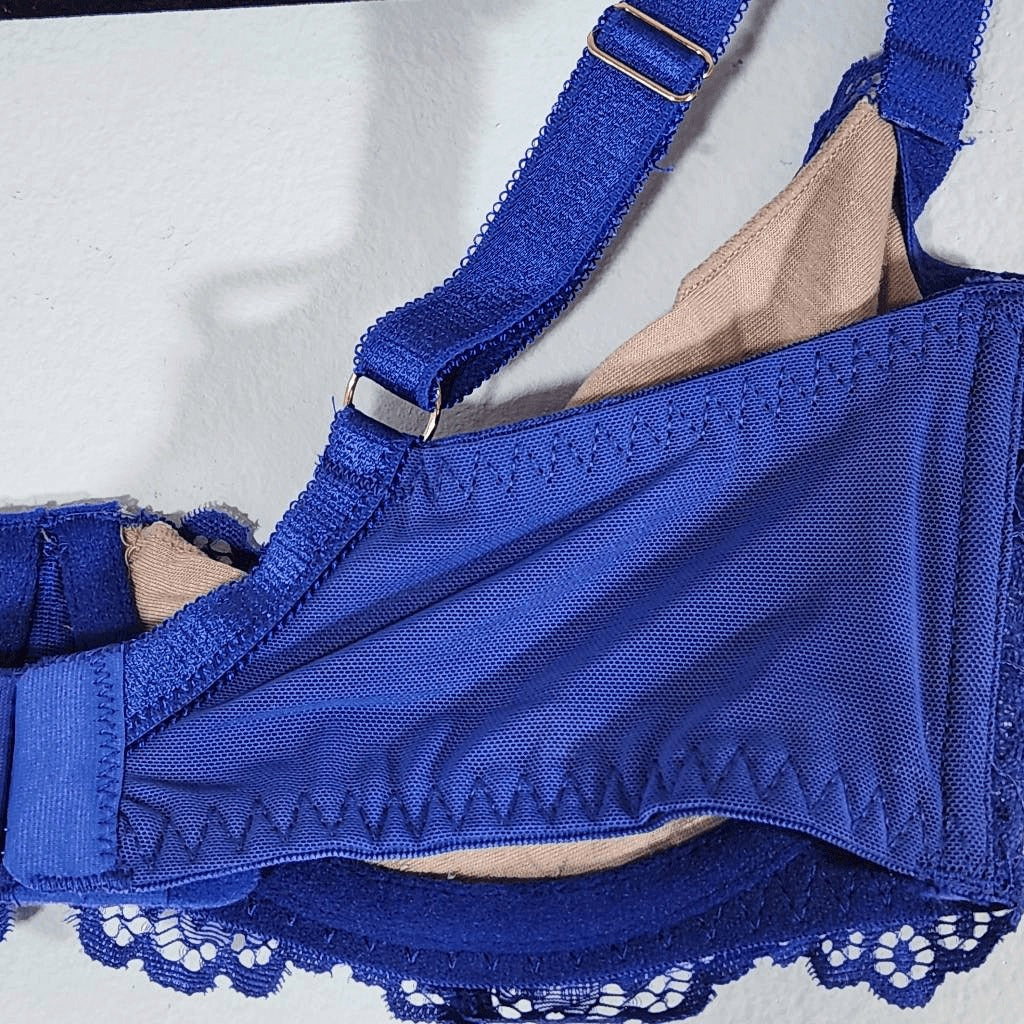 Frederick's of Hollywood Nude and Blue Lace Bra Size 32D NWT Lingerie Shower