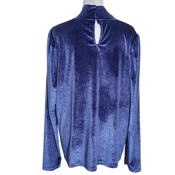 Ryegrass Blue Velour Long Sleeve Mock Neck Top NWT Size XXL