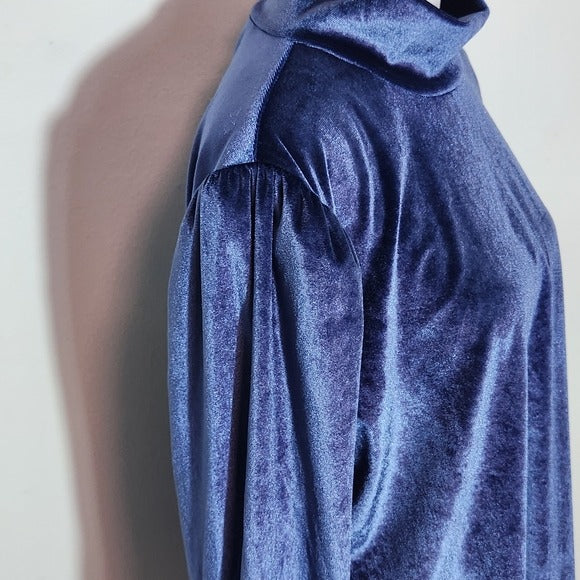 Ryegrass Blue Velour Long Sleeve Mock Neck Top NWT Size XXL
