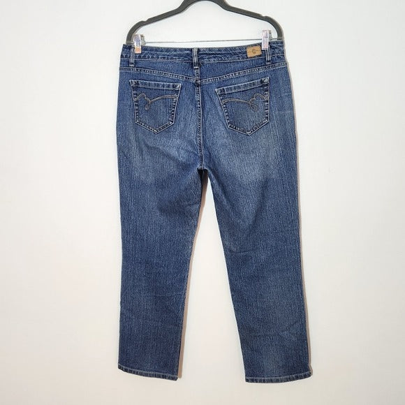 Bandolino Mandie Straight Leg Jeans Mud Wash Size 14P