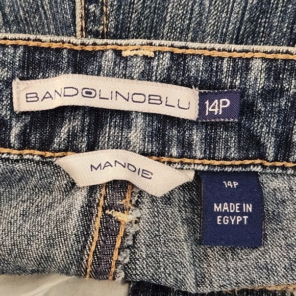 Bandolino Mandie Straight Leg Jeans Mud Wash Size 14P