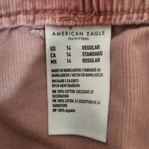 American Eagle Pink Corduroy Cargo Joggers Size 14