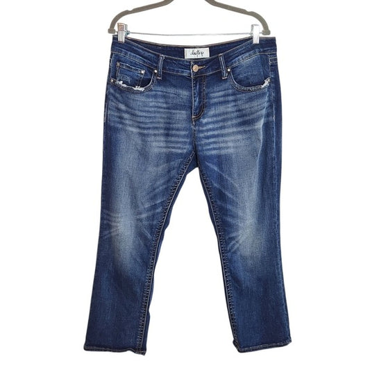 Daytrip Lynx Distressed Cropped Flare Jeans Size 32