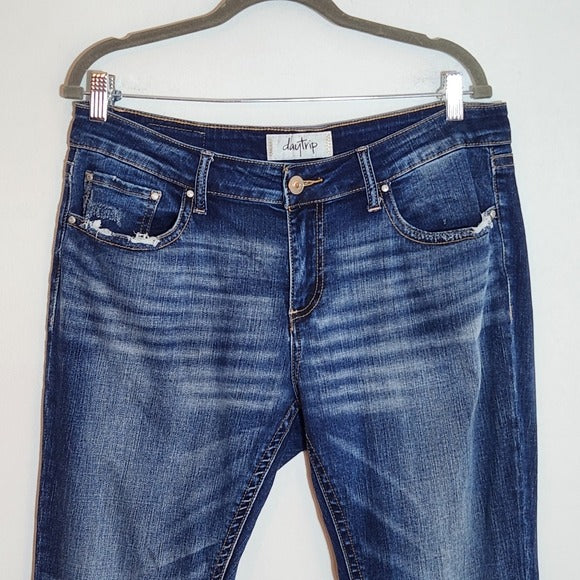 Daytrip Lynx Distressed Cropped Flare Jeans Size 32