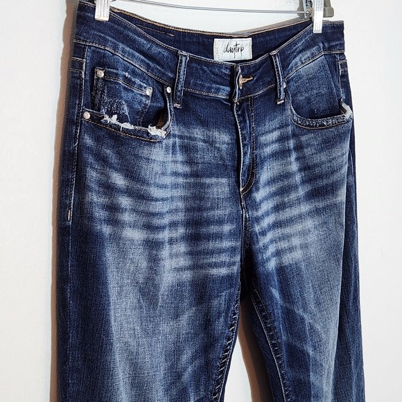 Daytrip Lynx Distressed Cropped Flare Jeans Size 32