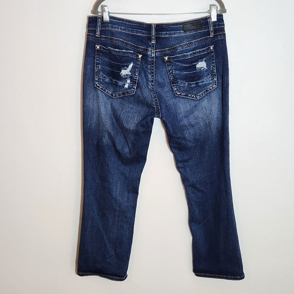 Daytrip Lynx Distressed Cropped Flare Jeans Size 32