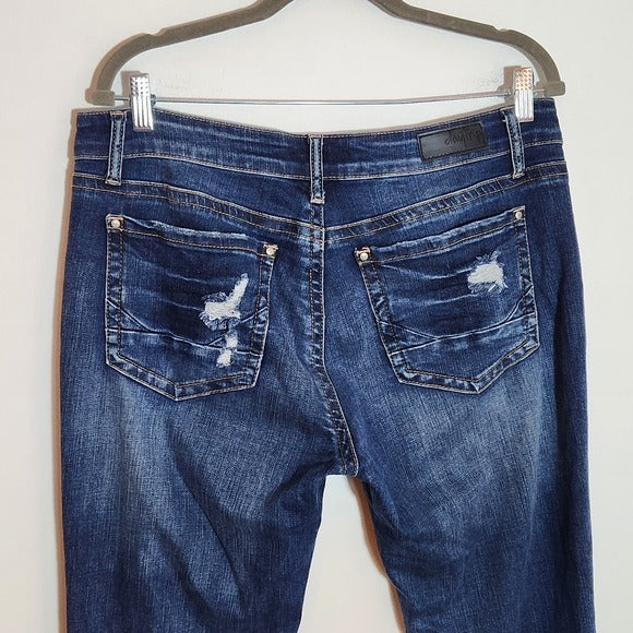 Daytrip Lynx Distressed Cropped Flare Jeans Size 32