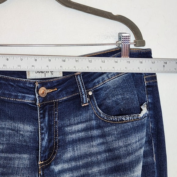 Daytrip Lynx Distressed Cropped Flare Jeans Size 32