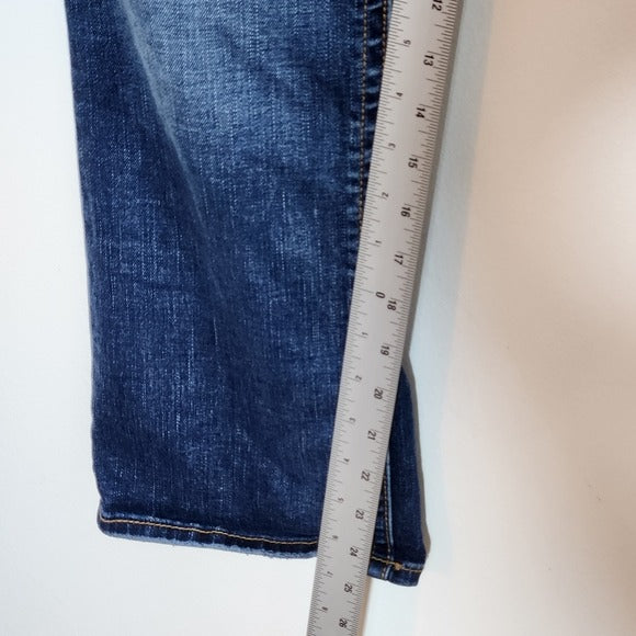 Daytrip Lynx Distressed Cropped Flare Jeans Size 32