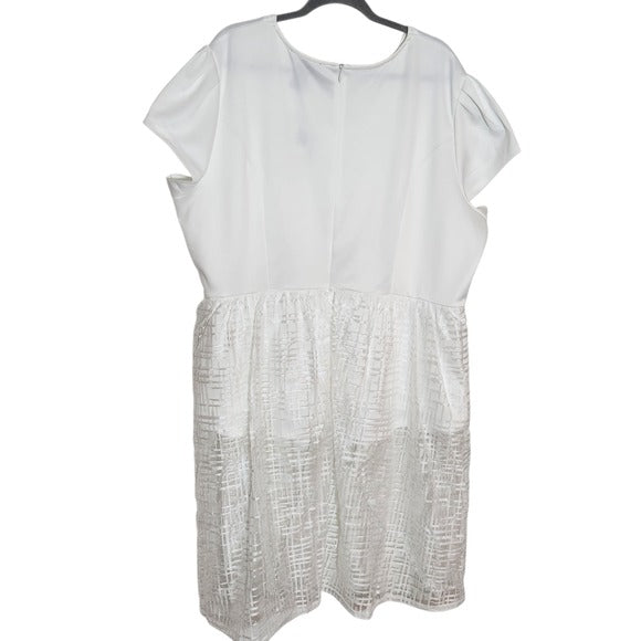 Ashley  Stewart White Peplum Top Size 26/28 NWT