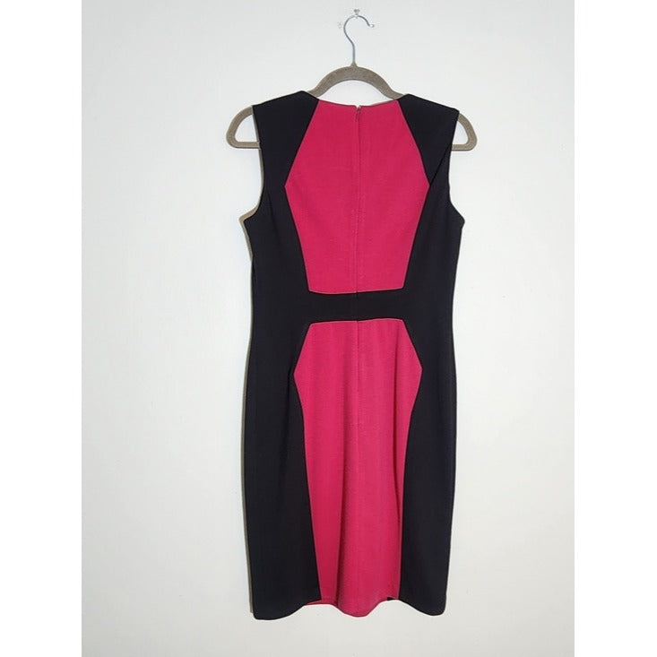Calvin Klein Pink and Black Colorblock Sheath Dress Size 4