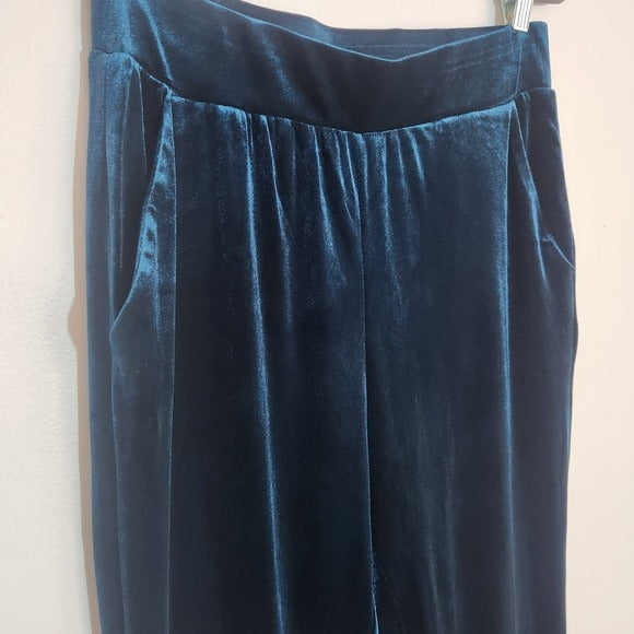 Rachel Roy Teal Blue Velour Pull-On Pants Size Medium