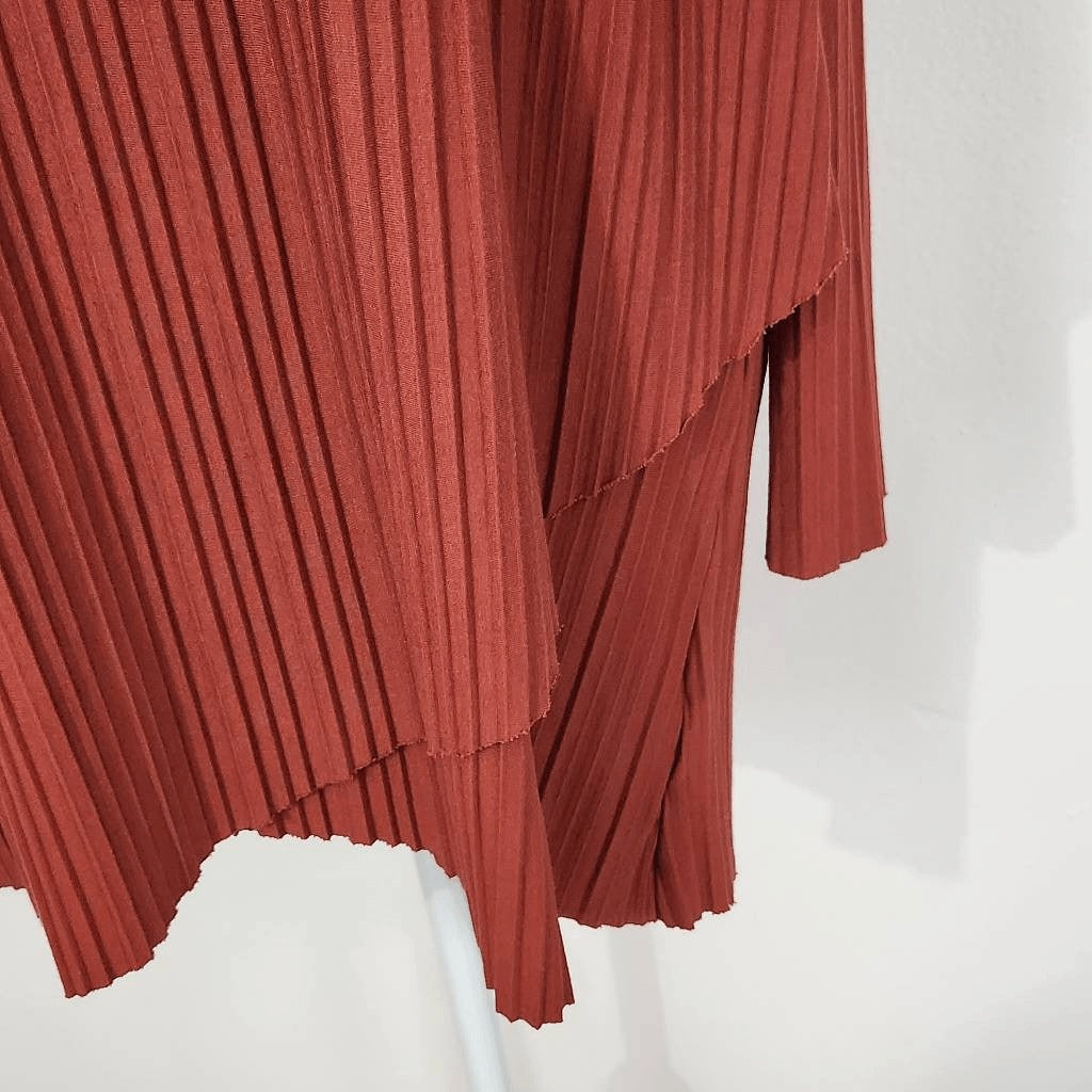 AGB Rust Pleated Blouse Size Large Rust Red Tunic Layered Look Tunic