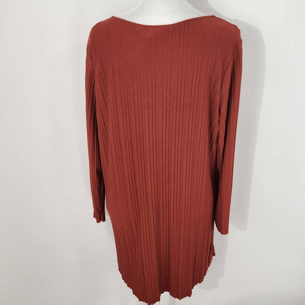AGB Rust Pleated Blouse Size Large Rust Red Tunic Layered Look Tunic