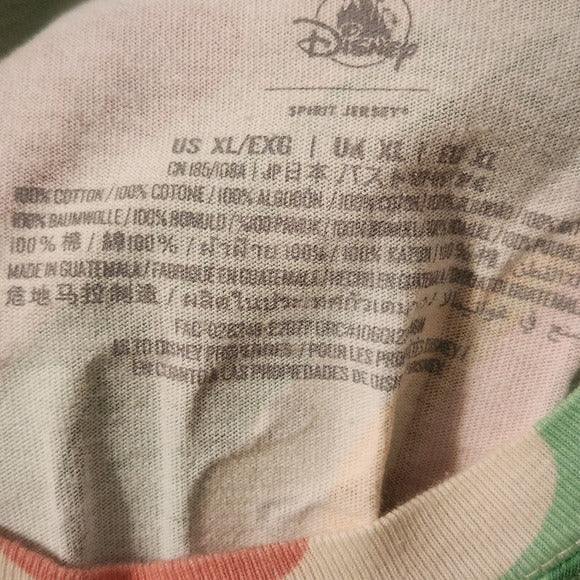 Disney Green and Pink Print Walt Disney World  Oversized Jersey Tee Size XL