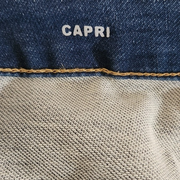 Lane Bryant Medium Wash Capri Jeans Size 22
