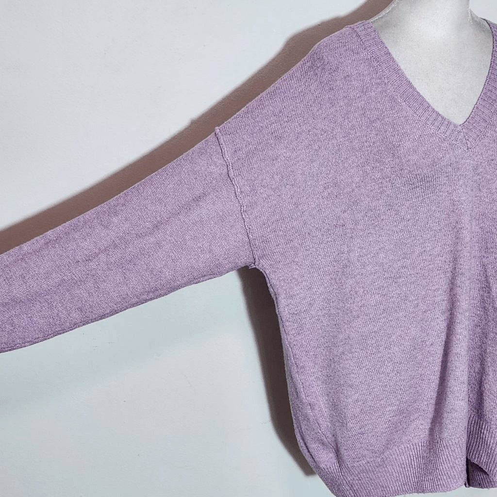 Sonoma Purple V-Neck Sweater NWOT Size XL Sonoma Light Purple Sweater